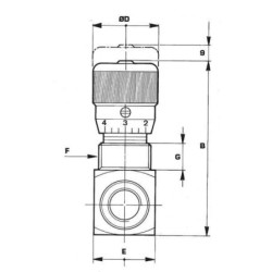 "Zawór dławiący FPB M-04-PV-P-V-1/4"" BSP"