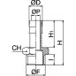 "Złączka do węża 12mm x 1/2"""