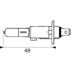 Żarówka 12V 55W H1