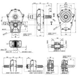 Multiplikator 30-ST-8-3.8 (M-F/Gr3) z tuleją/wałkiem