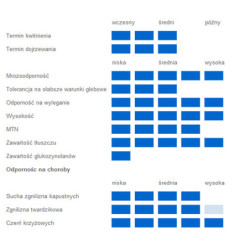 55257- Rzepak ozimy BOGART 3ha - gwiazda wśród odmian - nasiona