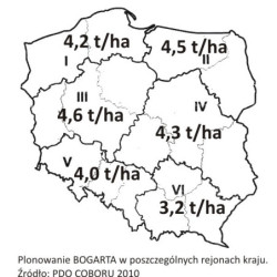 55257- Rzepak ozimy BOGART 3ha - gwiazda wśród odmian - nasiona